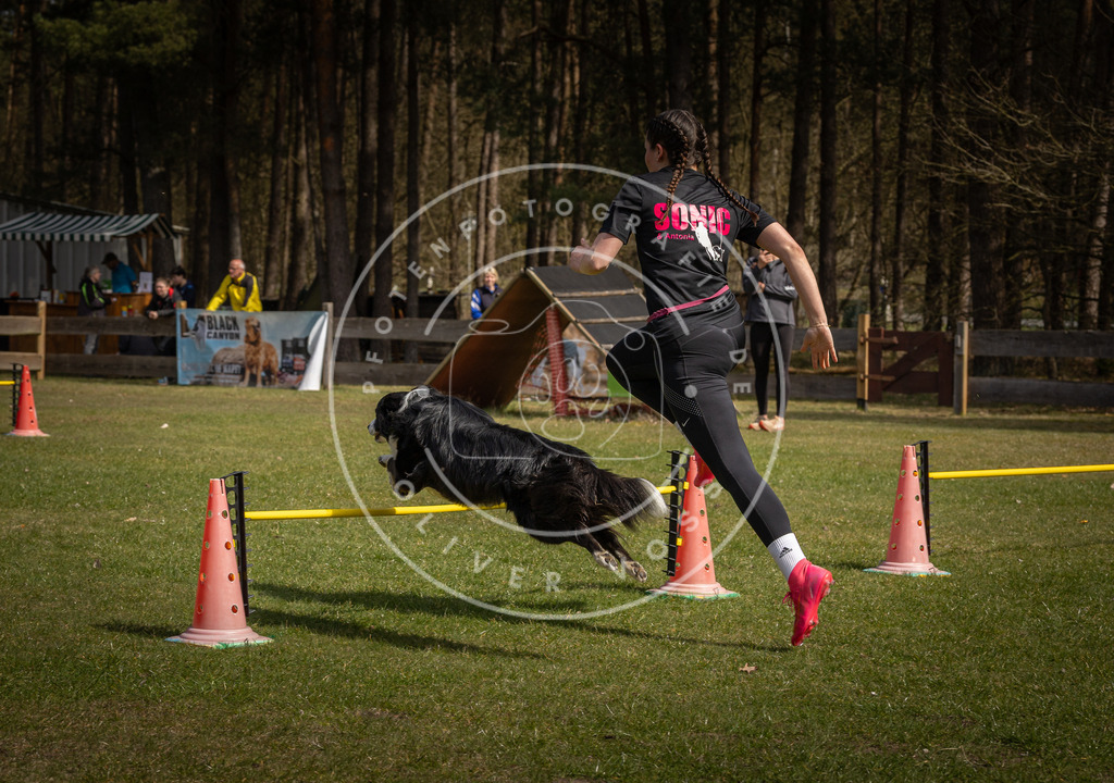 Pfotenfotografie_DV3A4090 | Hundefotografie, Tierfotograf, Pfotenfotografie, Fotoshooting Hund, Hunde Portrait, Hundesport, Hundeportraits, Heideshooting, Hunde, Sportfotograf, Hundefotograf, Turnierhundsport, THS,  - Realisiert mit Pictrs.com
