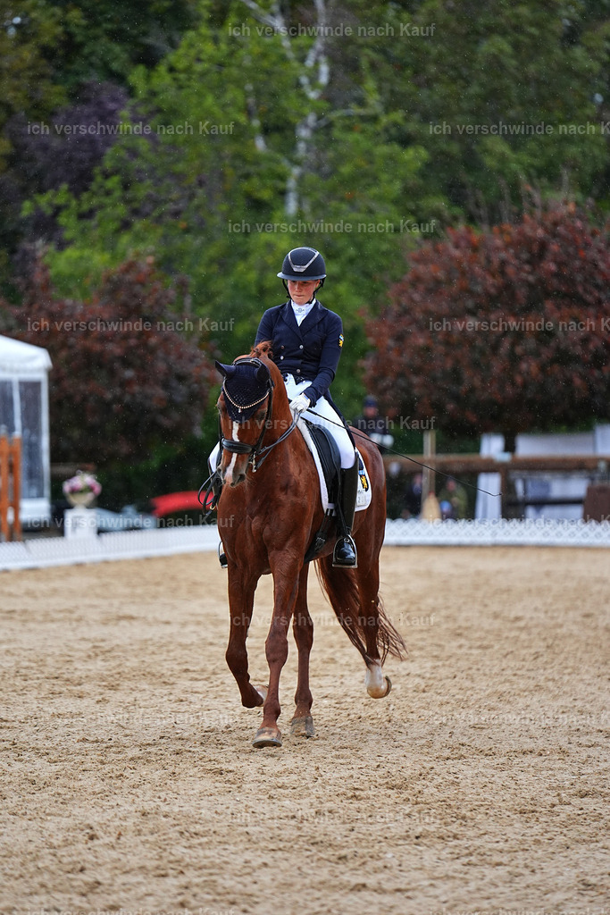 8_1-223-Klasse S_  -Marixx-4282 | working equitationturnier fotograf videograf stoibphotography marixx film working equitation deutschland reitsport turnierfotografie eventfotografie equestrian events