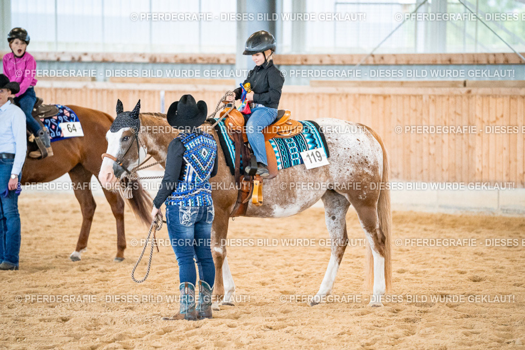 DSC01049 | Pferdegrafie