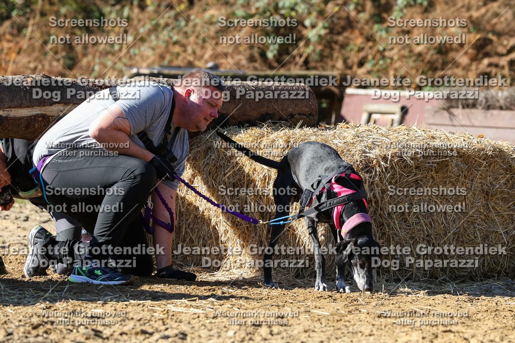 Dog Paparazzi - Strongdog 10-25-2847 | Dog Paparazzi Jeanette Grottendiek Fotografie & Videografie