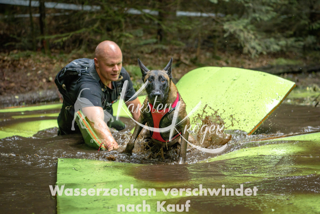 1540_ZZ91839-Bearbeitet | kk-dogfotos
