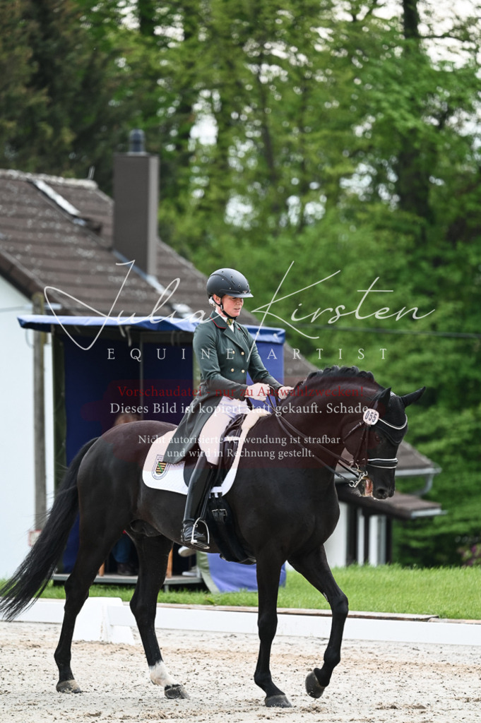 20230513_JK-Röhrsdorf-12-024 | Pferde- und Turnierfotografie in Westsachsen. Pferdeportraits, Auftragszeichnungen und intuitive Kunst.