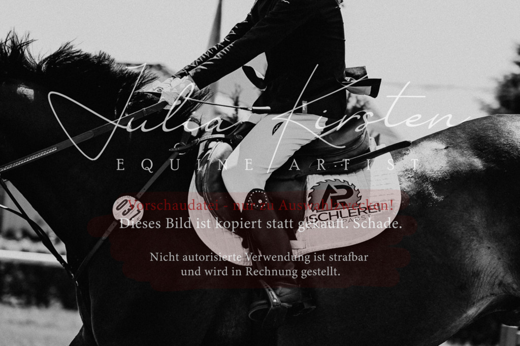DSC_0361 | Pferde- und Turnierfotografie in Westsachsen. Pferdeportraits, Auftragszeichnungen und intuitive Kunst.