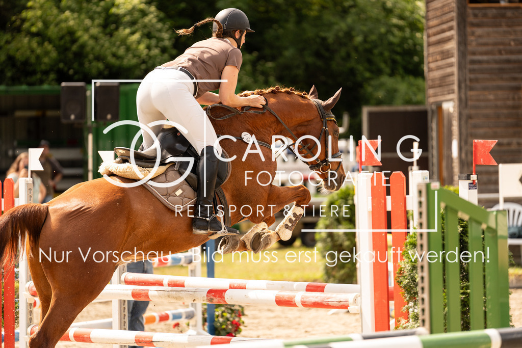 DSC02350 | Carolin Gieschke