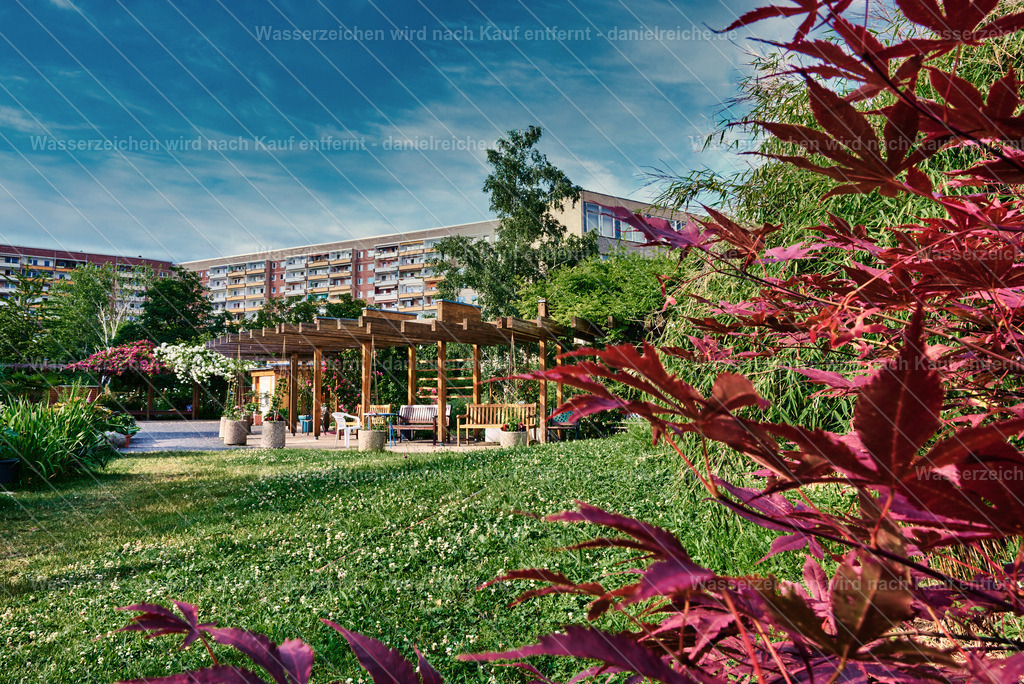 Leipzig Grünau – Kolonnadengarten Grünau (Sommer 2021) | Leipzig Grünau – Kolonnadengarten Grünau (Sommer 2021) - Realisiert mit Pictrs.com