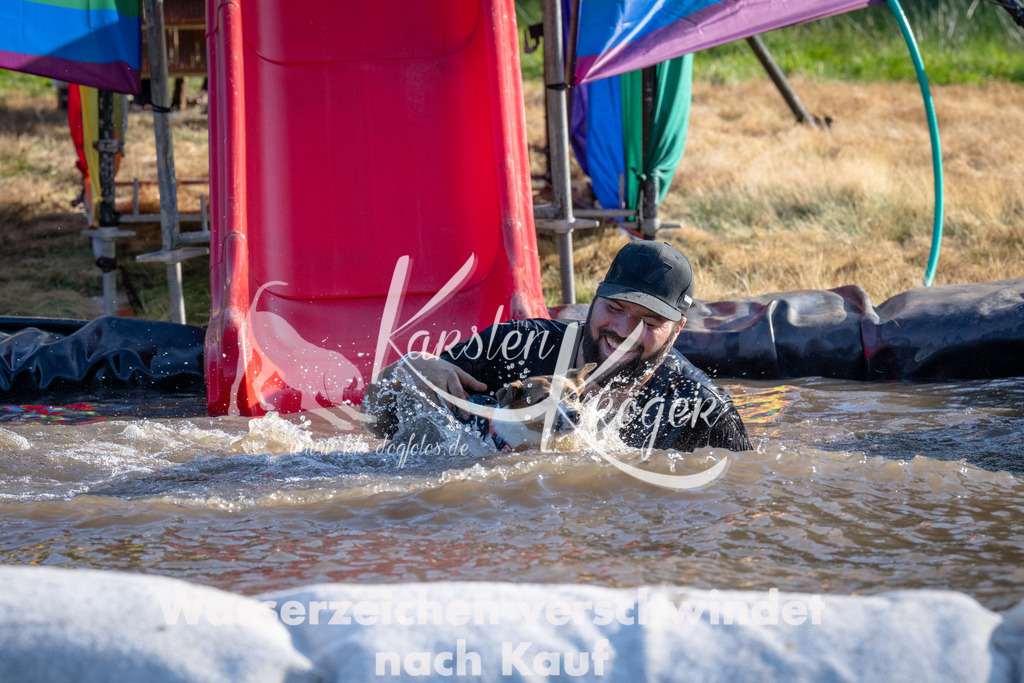 1729_ZZ90639 | kk-dogfotos