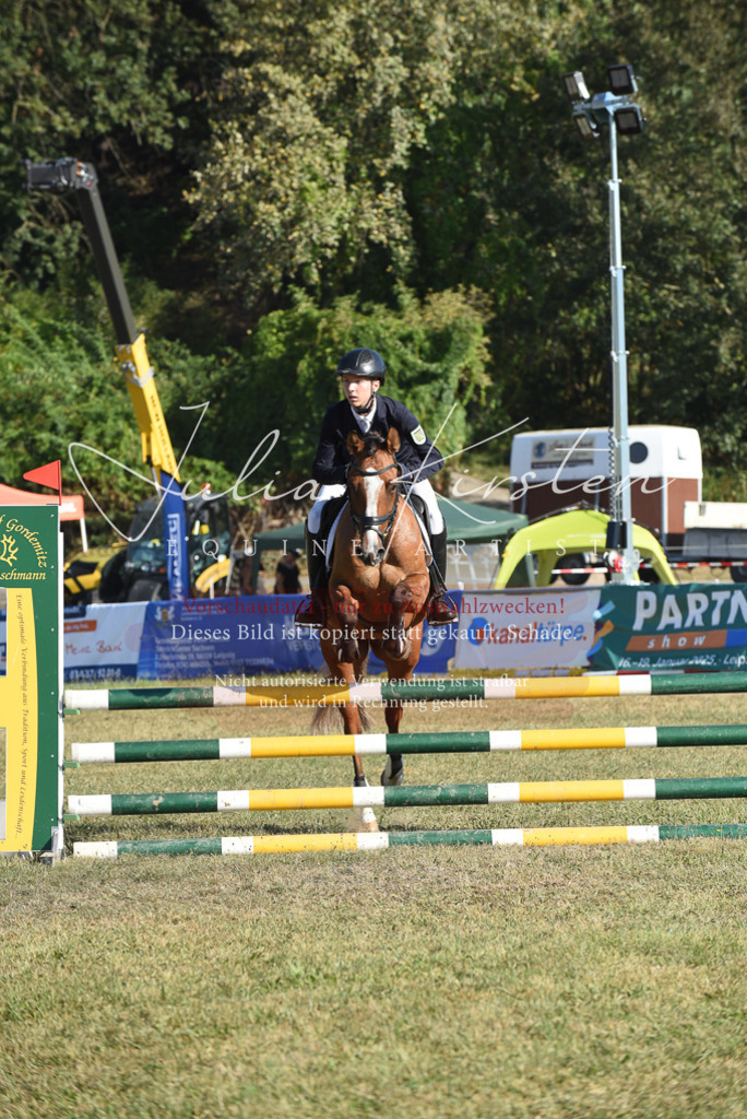 DSC_5234 | Pferde- und Turnierfotografie in Westsachsen. Pferdeportraits, Auftragszeichnungen und intuitive Kunst.