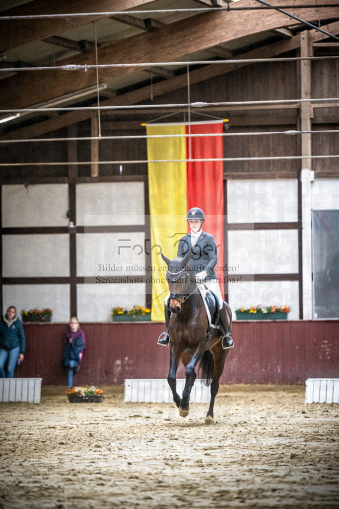 DOS_1299 | Reitturnier Lüdinghausen - Realisiert mit Pictrs.com