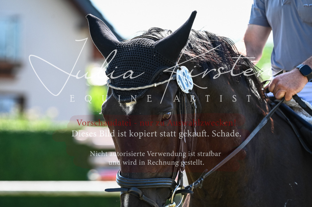 DSC_1412 | Pferde- und Turnierfotografie in Westsachsen. Pferdeportraits, Auftragszeichnungen und intuitive Kunst.