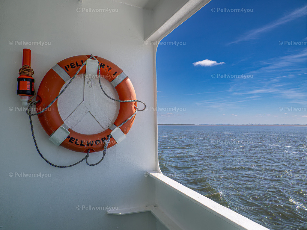 _4300136 | Pellwormer Bilder und Fotos als Poster, auf Leinwand mit Keilrahmen, hinter Acrylglas, auf Alu-Dibond oder Forex-Platte und vieles mehr. Zum verschenken, für die Ferienwohnung oder für zu Hause. - Realisiert mit Pictrs.com