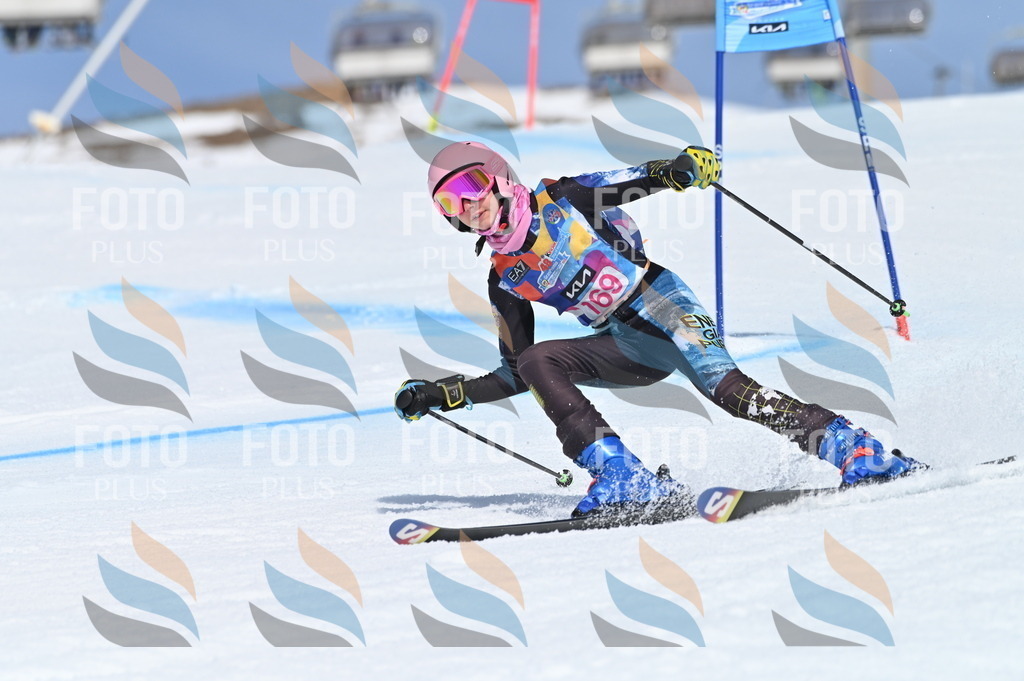 BGV_0423 | holidayphoto