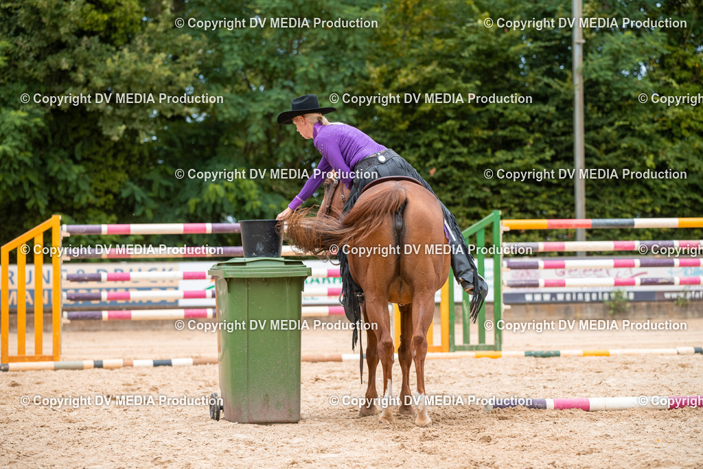 ZS2_8176 | dv-media-shop - Realisiert mit Pictrs.com