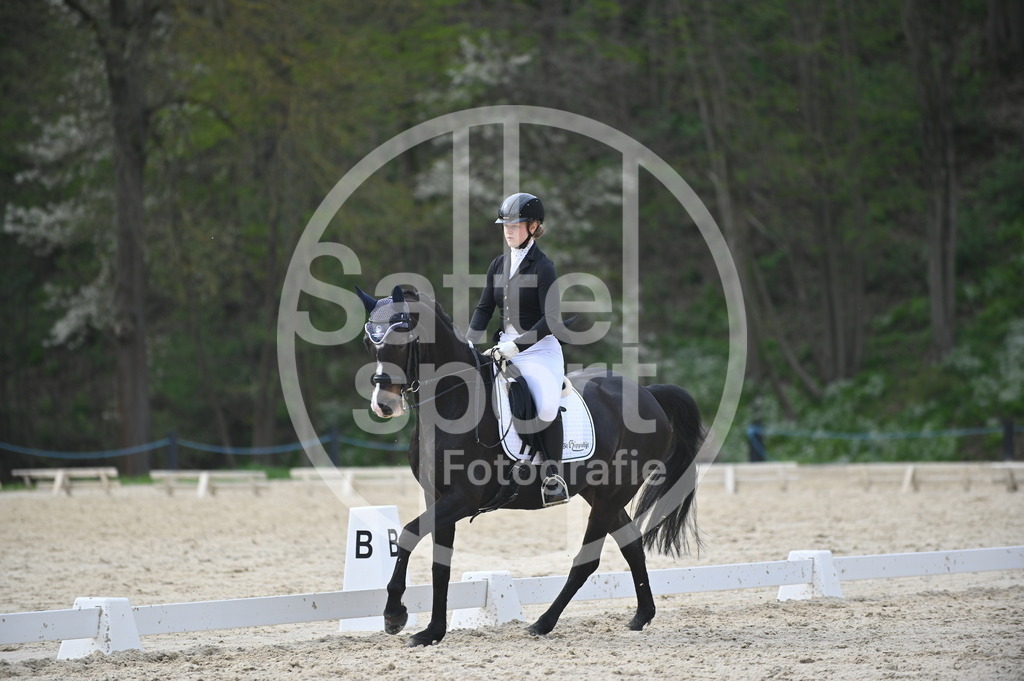 DSC_4919 | sattelsport - Realisiert mit Pictrs.com