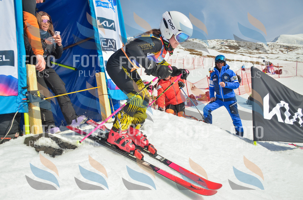 _ELE4949 | holidayphoto