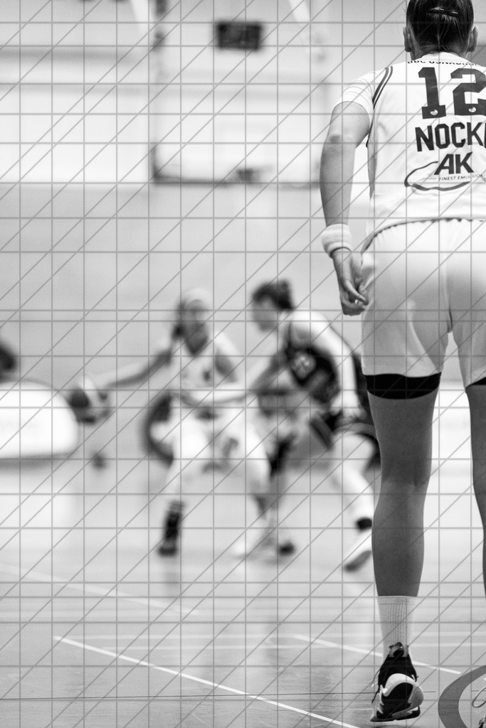 2. DBBL Nord 24/25 | 19.01.2025 | BBC OS vs. VfL VIACTIV-AstroLadies Bochum | 2. DBBL Nord 24/25 | 19.01.2025 | BBC OS vs. VfL VIACTIV-AstroLadies Bochum - - - - - CREDIT, www.bullenfotos.de, Martin König, Hörner Weg 40, D-49078 Osnabrück, +4917663732967, Nutzung und Weitergabe nur zu den vereinbarten Zwecken. Presseanfragen an Urheber. Alle Rechte beim Urheber. - - - - - - Realisiert mit Pictrs.com