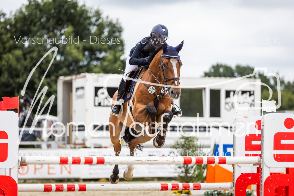 BHO-2PhSpr-M-5-2410 | MomenTaufnahmen Pferdesportfotos