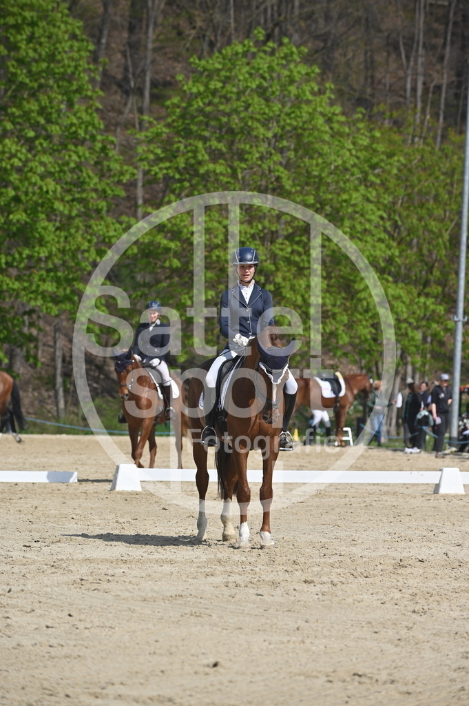 DSC_1161 | sattelsport - Realisiert mit Pictrs.com