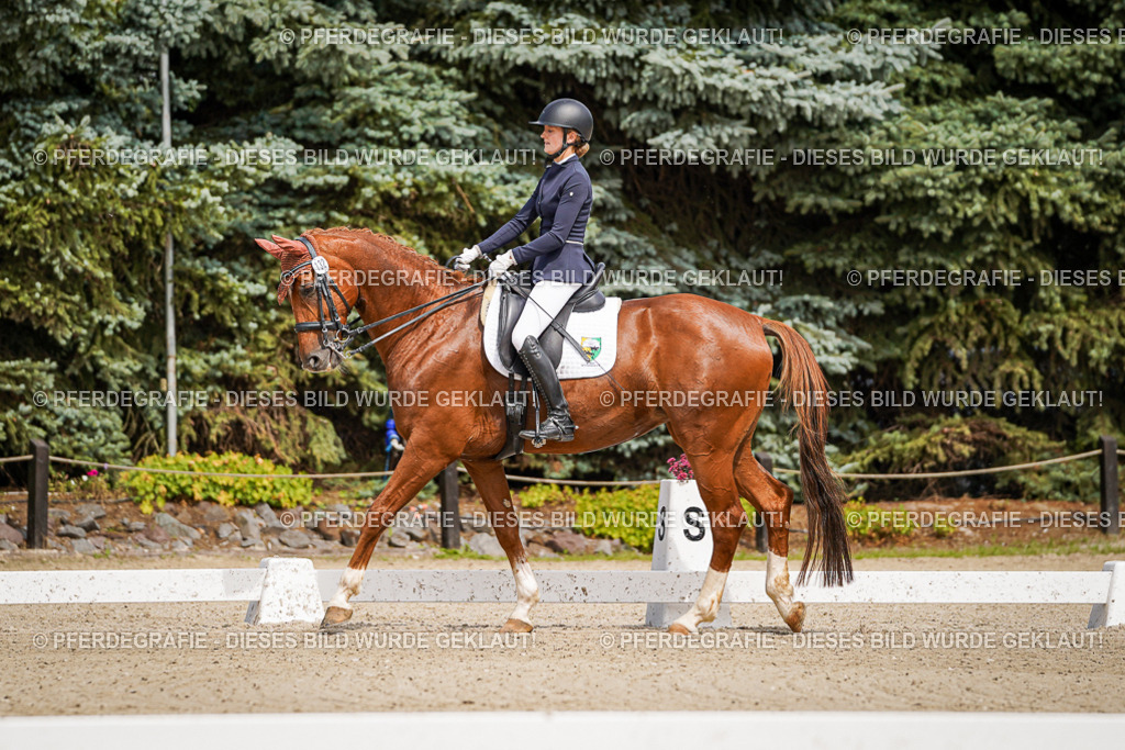 DSC04745 | Pferdegrafie