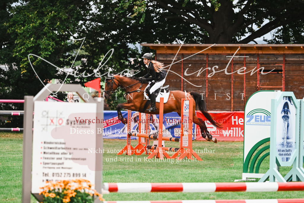 DSC_5925 | Pferde- und Turnierfotografie in Westsachsen. Pferdeportraits, Auftragszeichnungen und intuitive Kunst.