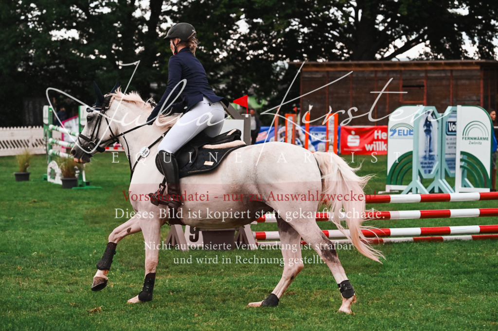 DSC_6096 | Pferde- und Turnierfotografie in Westsachsen. Pferdeportraits, Auftragszeichnungen und intuitive Kunst.