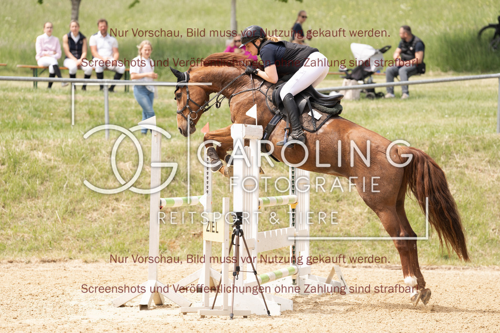 DSC06648 | Springturnier_Ehingen_Mai_2026, Stefanie_Niedermaier, Karzalis