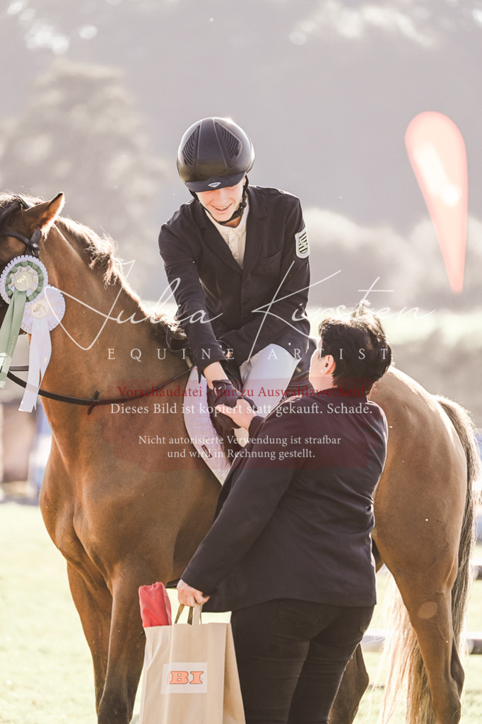 DSC_4609 | Pferde- und Turnierfotografie in Westsachsen. Pferdeportraits, Auftragszeichnungen und intuitive Kunst.