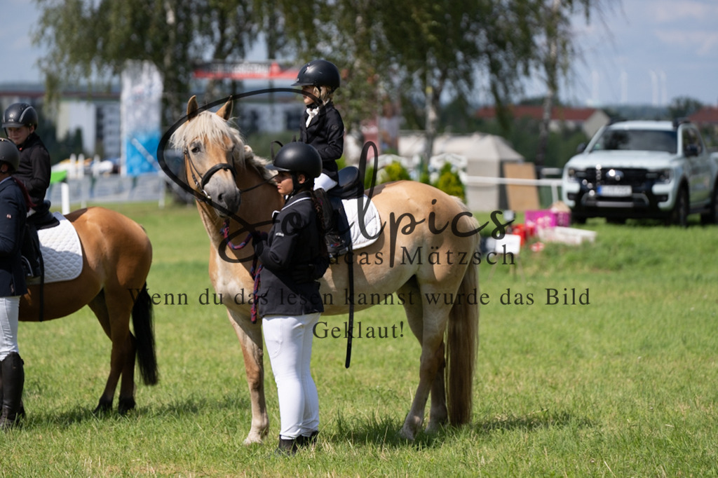 A7V03291 | Pferdefotograf