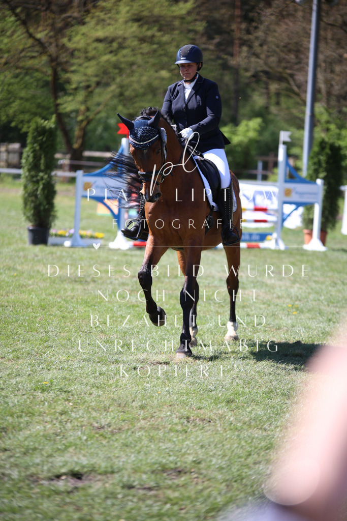 IMGT7923 | pl-fotografie