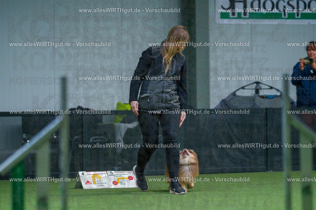 7R501773 | Professionelle Tierfotografie in Mönchengladbach von Daniel Wirth (allesWIRTHgut). Liebevolle & natürliche Bilder von Hunden & Katzen für unvergessliche Erinnerungen.