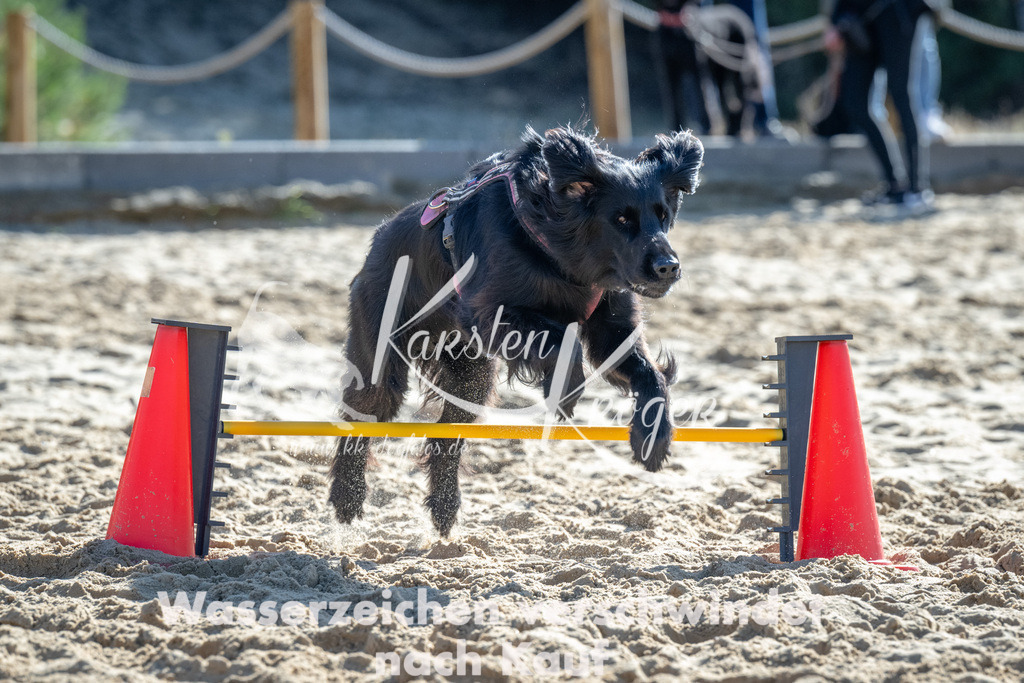 1149_ZZ92083-2 | kk-dogfotos