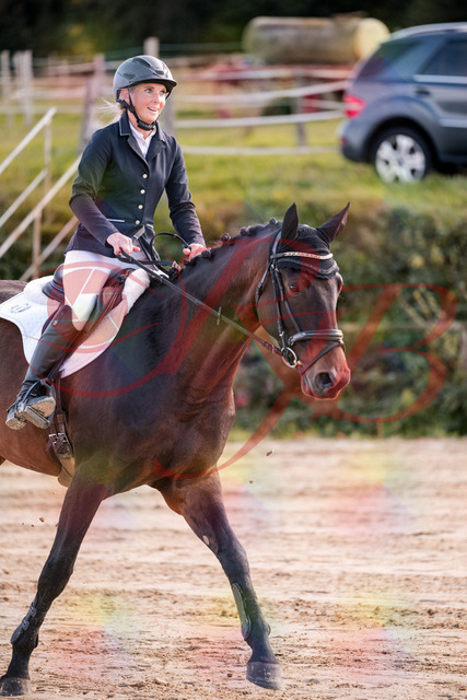 2026_10_03_Siefer-Hof_144108_Z81_13393416 | Professionelle Reitsport-, Turnier- und Eventfotografie von Robert Broda. Galerien mit ausgewählten und bearbeiteten Bildern direkt online ansehen und bestellen.