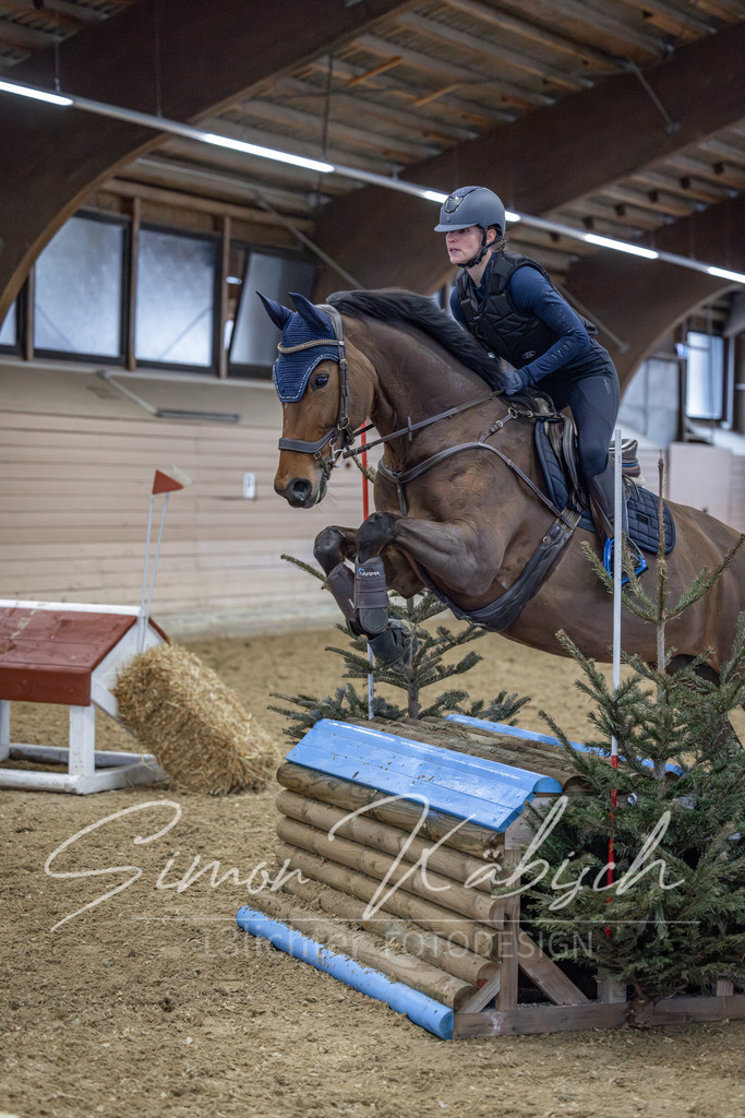 20260221-_3LI9319 | Tierfotografie Pferde, Hunde, Katzen, Haustiere.
Turnierfotografie Reitturniere, Reiten, Springreiten, Dressur in Hanau, dem Main-Kinzig-Kreis und dem Rhein-Main- Gebiet um Frankfurt