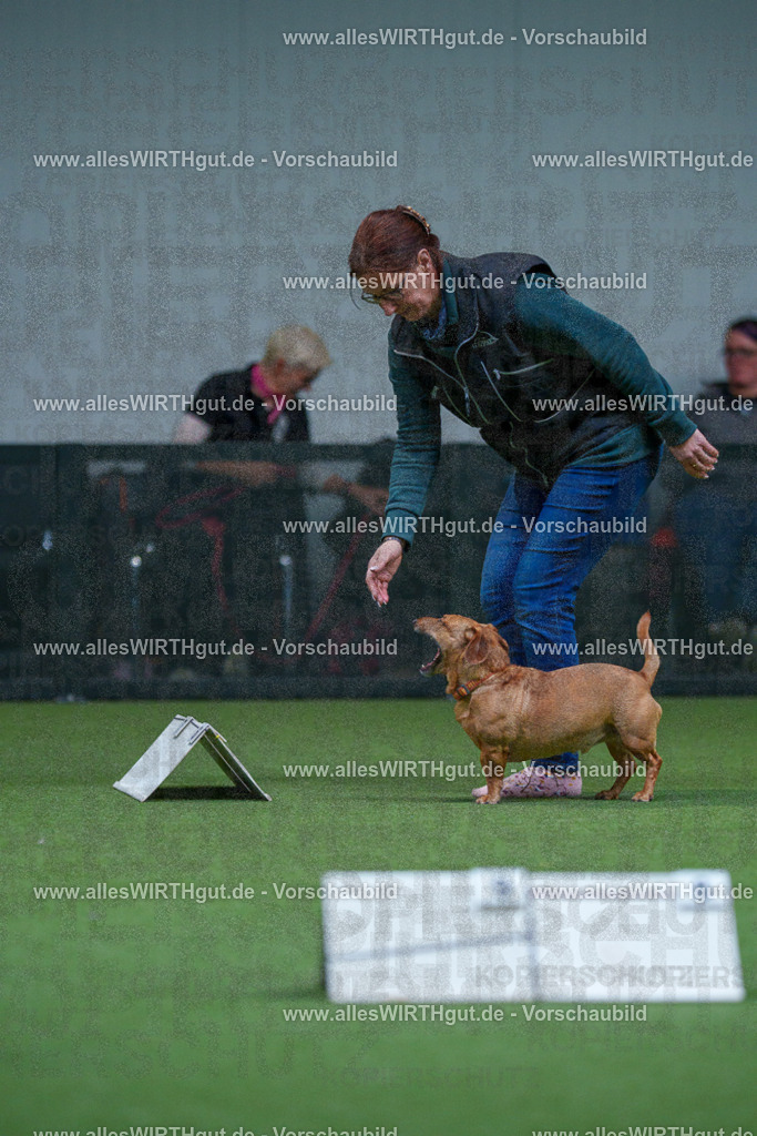 7R501871 | Professionelle Tierfotografie in Mönchengladbach von Daniel Wirth (allesWIRTHgut). Liebevolle & natürliche Bilder von Hunden & Katzen für unvergessliche Erinnerungen.