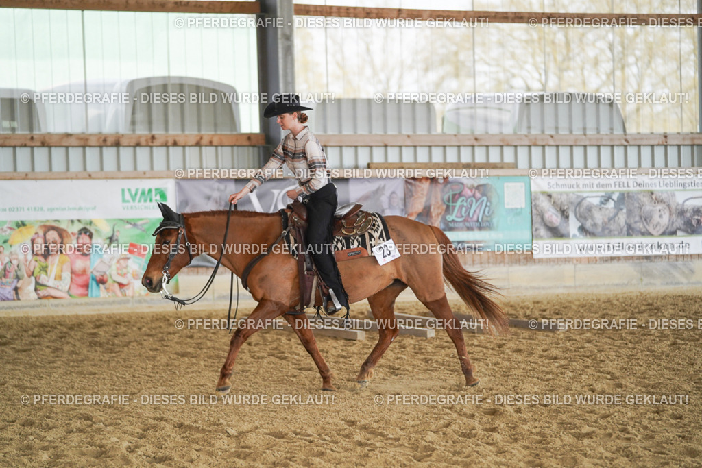 DSC00084 | Pferdegrafie