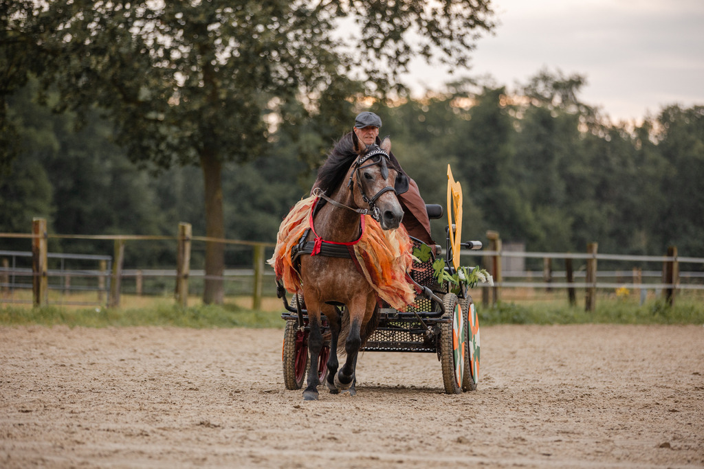 846A0172 | fotosleben - Realisiert mit Pictrs.com
