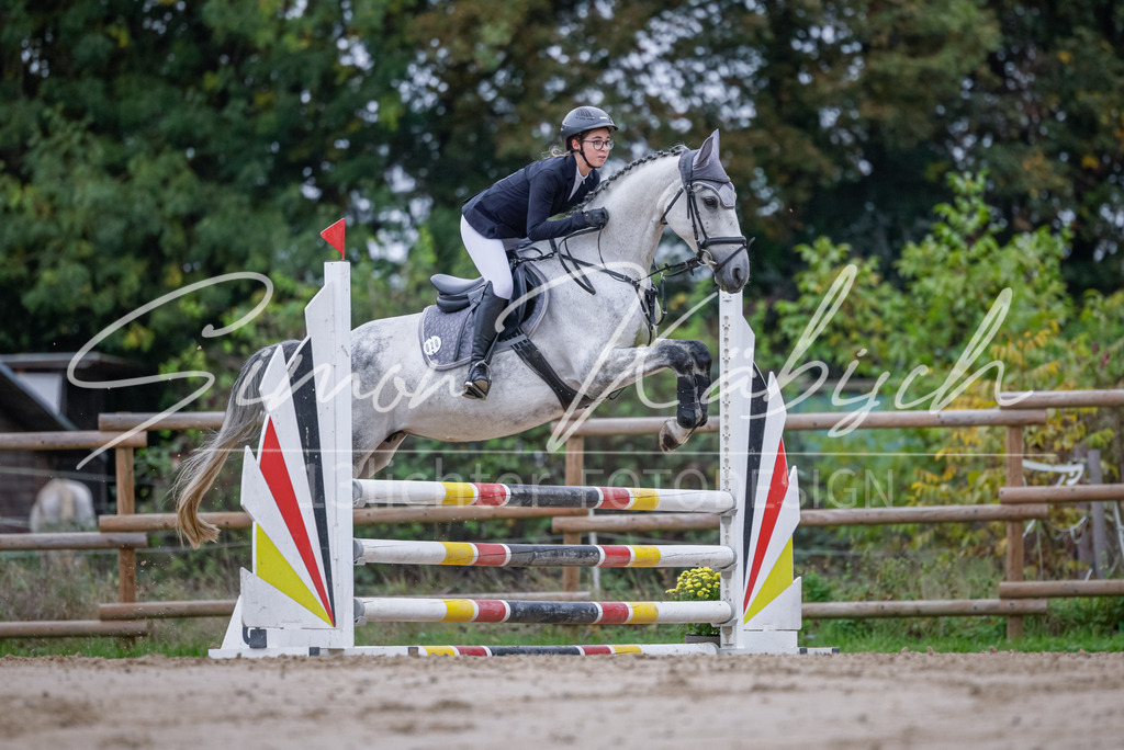 20251012-_3LI3343 | Tierfotografie Pferde, Hunde, Katzen, Haustiere.
Turnierfotografie Reitturniere, Reiten, Springreiten, Dressur in Hanau, dem Main-Kinzig-Kreis und dem Rhein-Main- Gebiet um Frankfurt