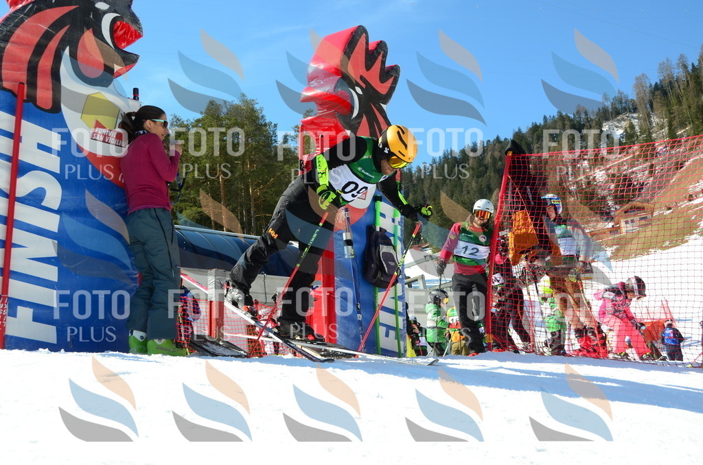 C6719 | holidayphoto