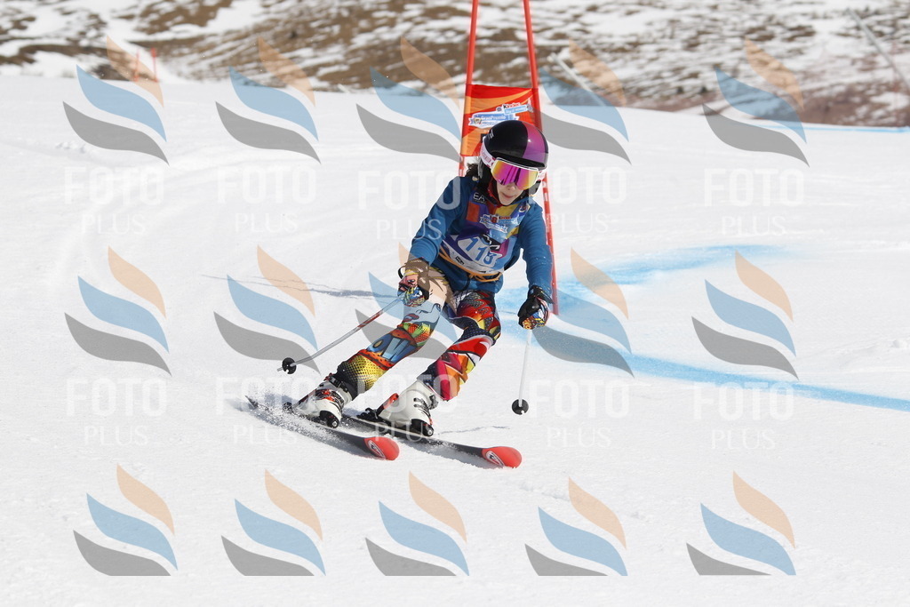 _U3G0666 | holidayphoto