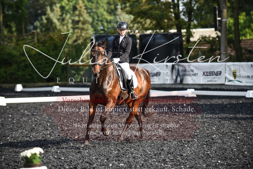 DSC_3295 | Pferde- und Turnierfotografie in Westsachsen. Pferdeportraits, Auftragszeichnungen und intuitive Kunst.
