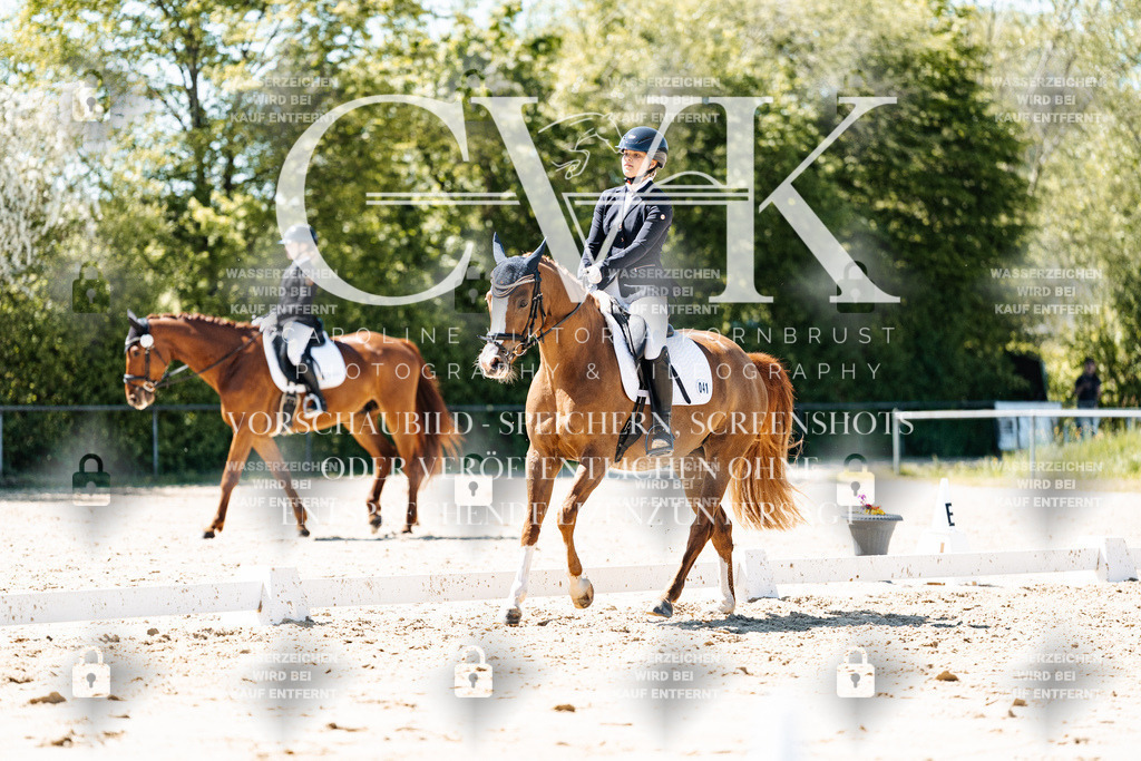 CK905684 | Turnierfotografie Pferdefotografie Trier Rheinland-Pfalz Pferdesport Reitsport Tierfotografie Sportfotografie Pferdevideo Pferdevideografie Equestrianvideography equestrianphotography  - Realisiert mit Pictrs.com