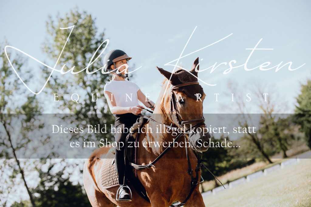 DSC_7186 | Pferde- und Turnierfotografie in Westsachsen. Pferdeportraits, Auftragszeichnungen und intuitive Kunst.