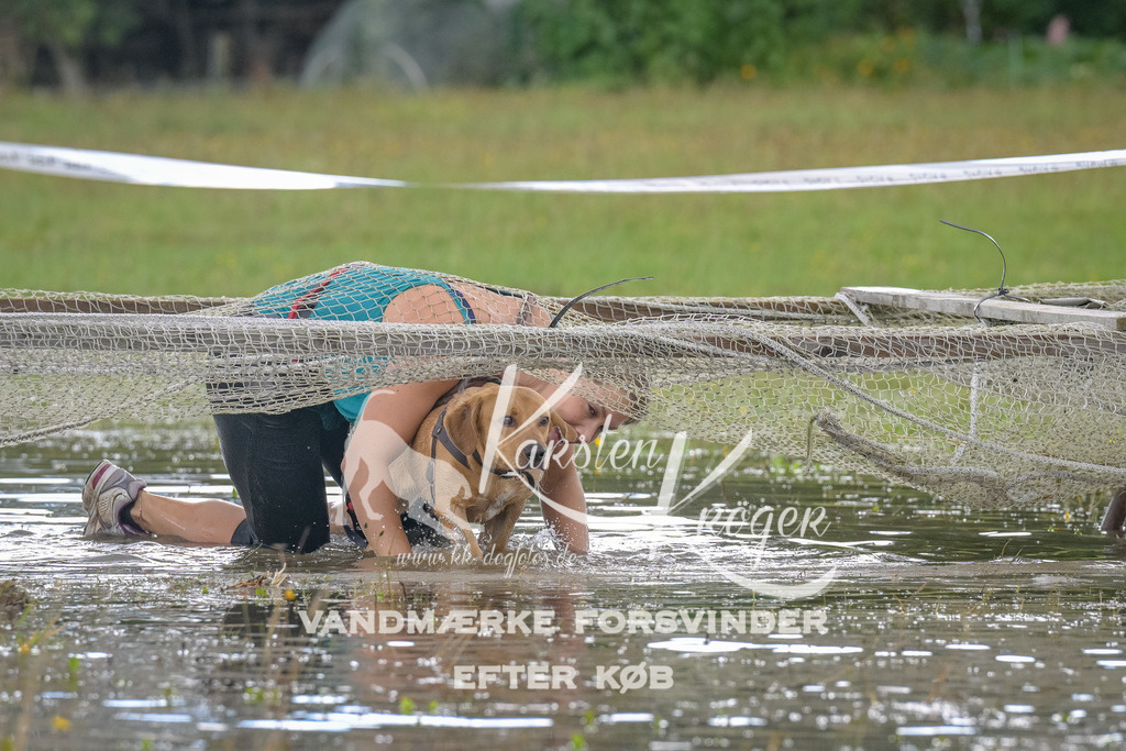 1446_ZZ91151 | kk-dogfotos