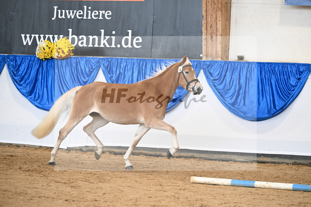 Bl. Band Kat-Nr. 8 Nancy v. Bugatti_Stadler_48251377 | hf-fotografie - Realisiert mit Pictrs.com