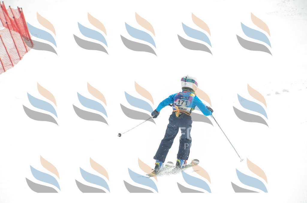 _ELE6562 | holidayphoto