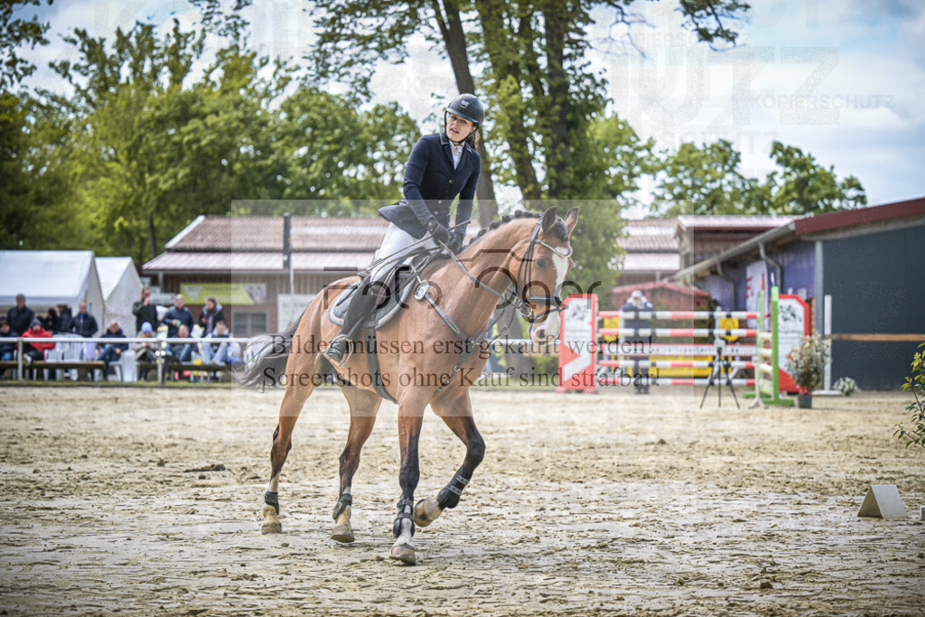 DOS_7642 | Entdecke hochwertige Reitturnierfotos von Foto Oger. Professionell, emotional und authentisch – jetzt Lieblingsmomente im Shop bestellen.Deutschlandweite Turnierfotografie. - Realisiert mit Pictrs.com
