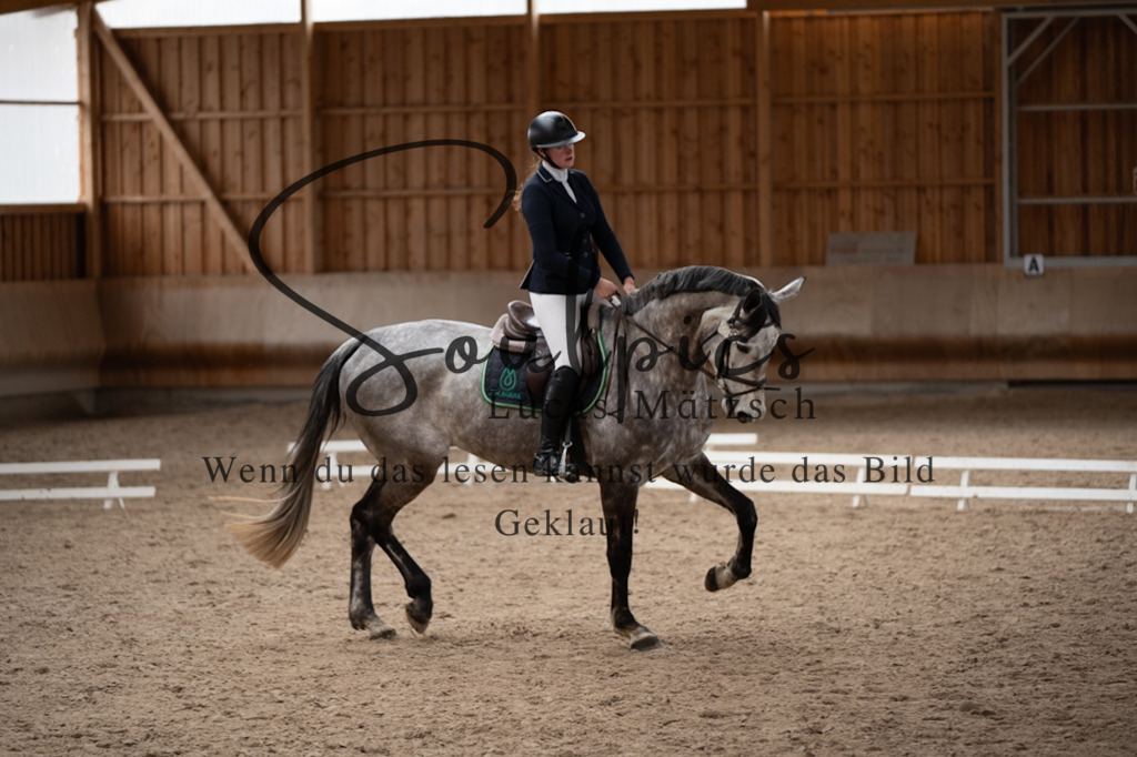 A7V09591 | Pferdefotograf