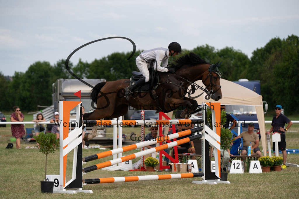 A7V02844 | Pferdefotograf