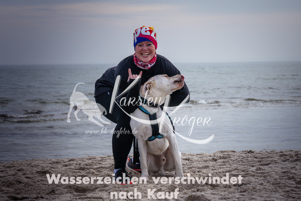 1305_ZZ98383 | kk-dogfotos