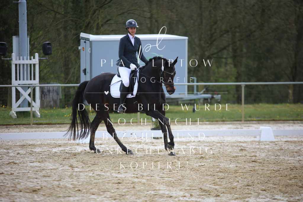 IMGT2854 | pl-fotografie