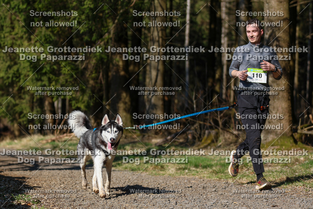 Dog Paparazzi - VCC26-66 | Dog Paparazzi Jeanette Grottendiek Fotografie & Videografie - Realisiert mit Pictrs.com